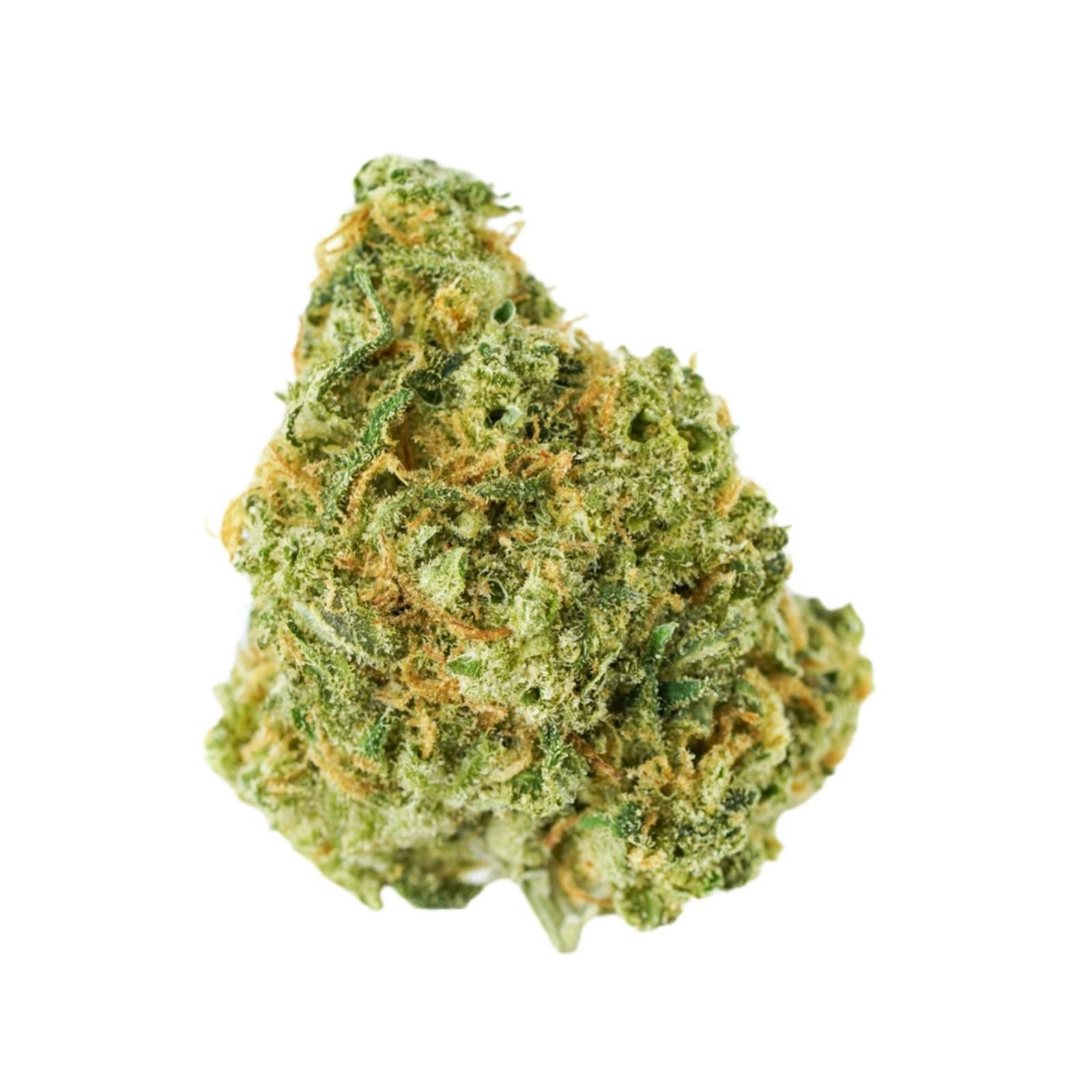 Golden Pineapple Flower, Lucky Lion (Taxes Included)